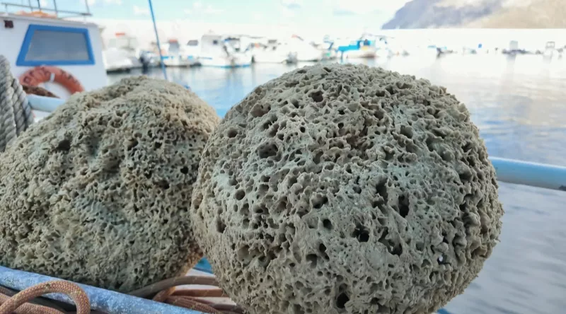 Σφουγγαράδες