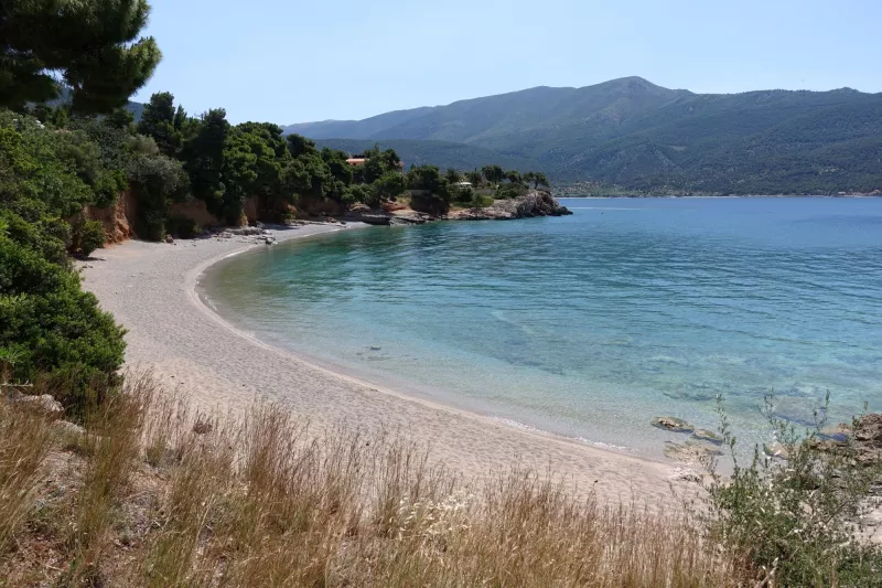 paralia