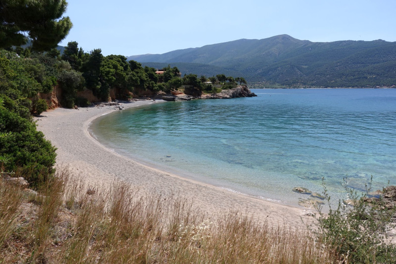 paralia