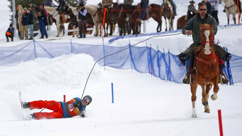 Skijoring, ένα χειμερινό άθλημα επίδειξης
