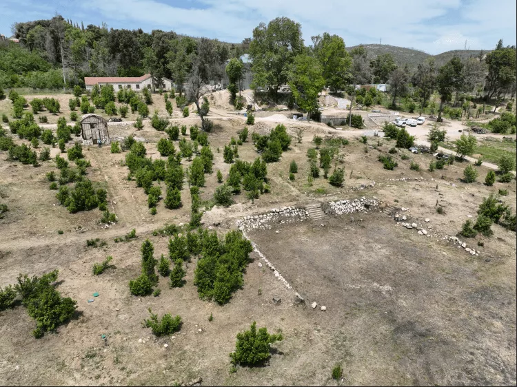 Τατόι