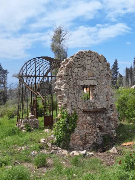 Τατόι