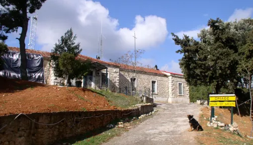 tatoi