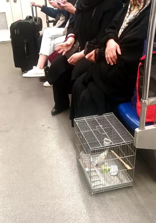Τεχεράνη