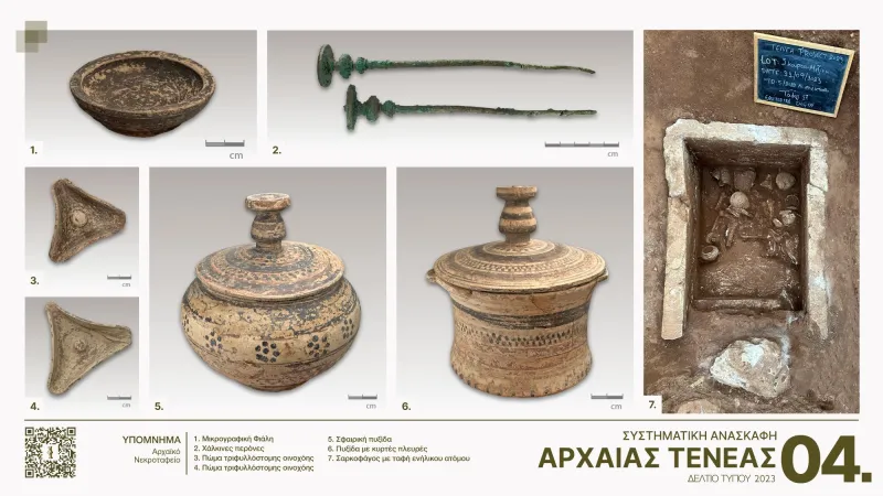 τενεα
