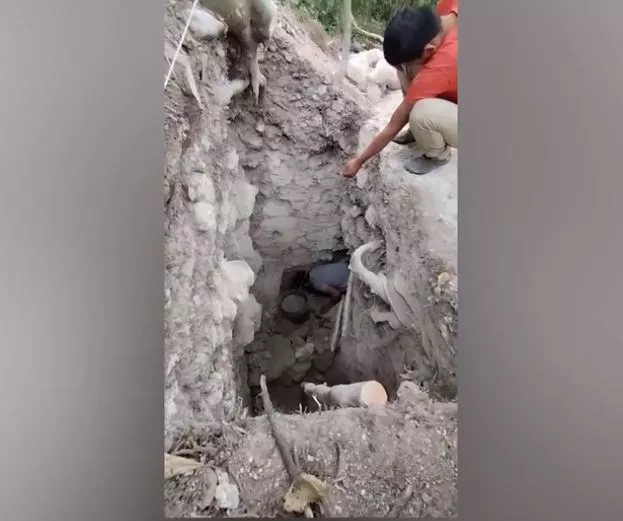 Ανακάλυψη για Μάγια
