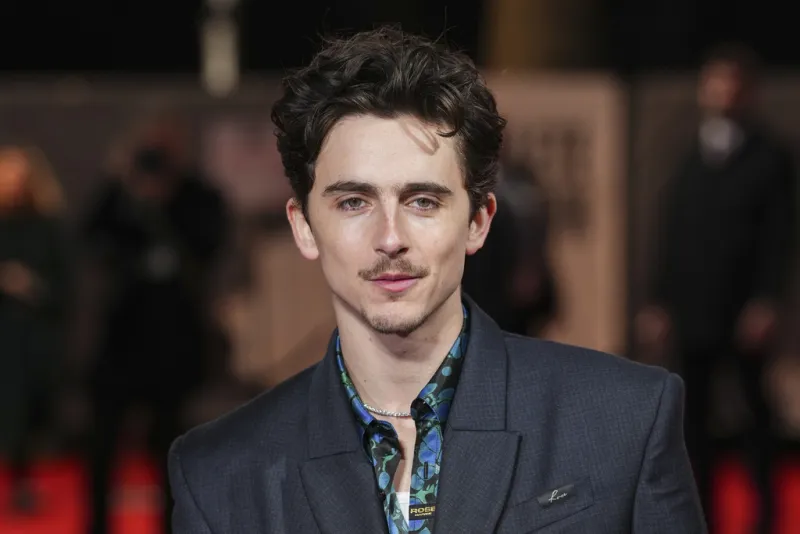 Ο Timothee Chalamet