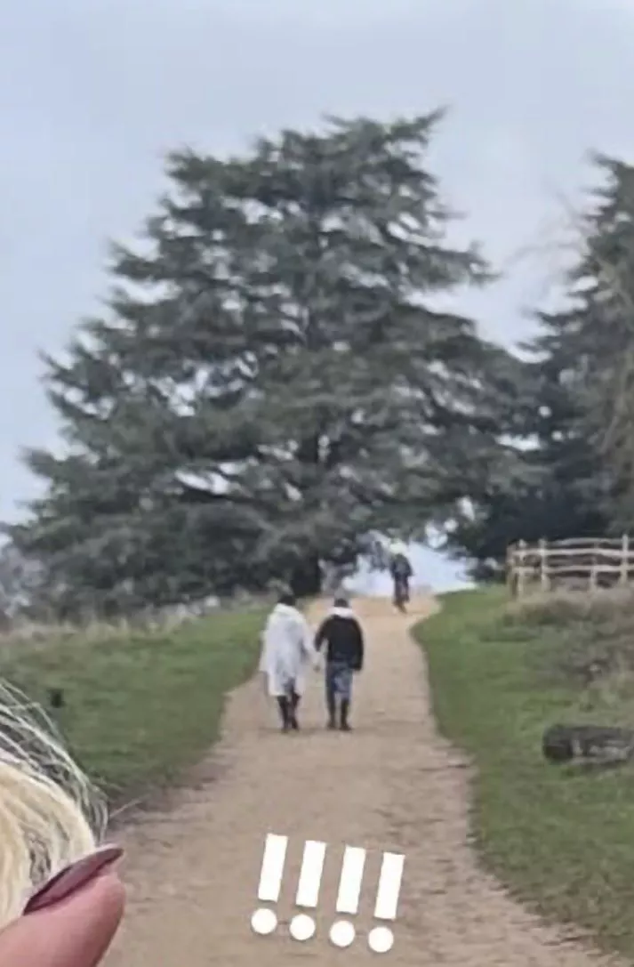  Ζεντάγια-Τομ Χόλαντ