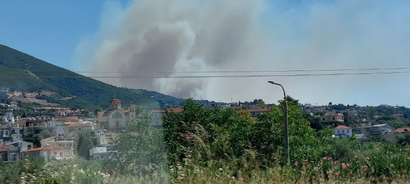 Καλλιθέα Αχαΐας