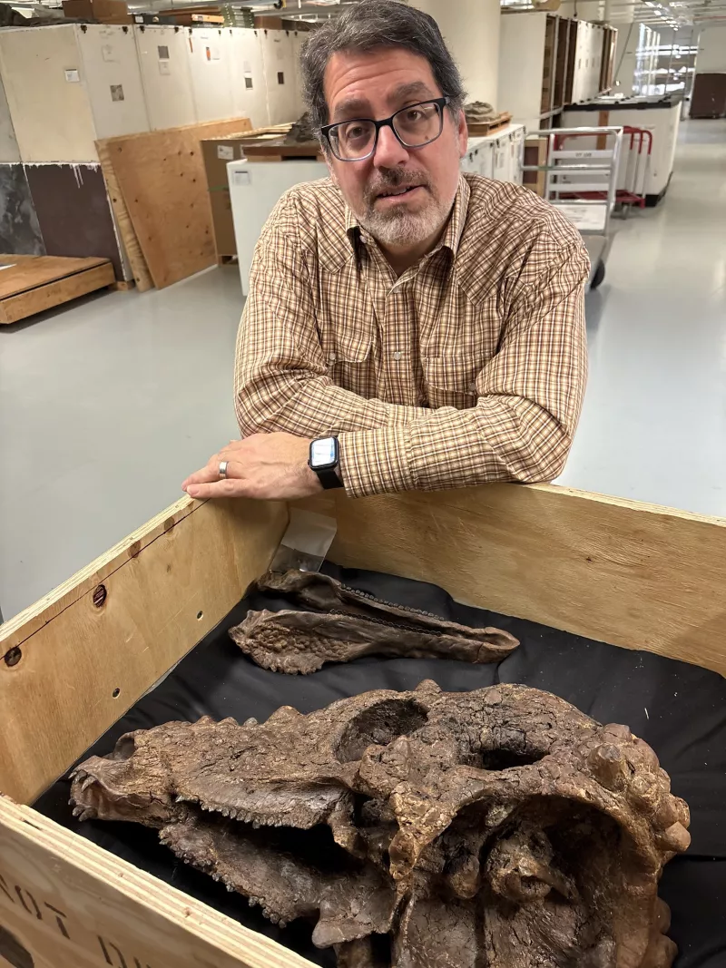 Δεινόσαυροι