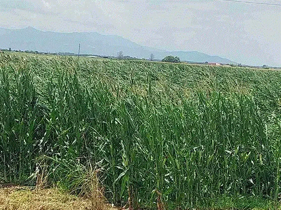 Ξάνθη