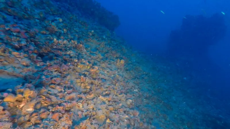 82 χρόνια από το ναυάγιο του ένδοξου αντιτορπιλικού «Ύδρα» 