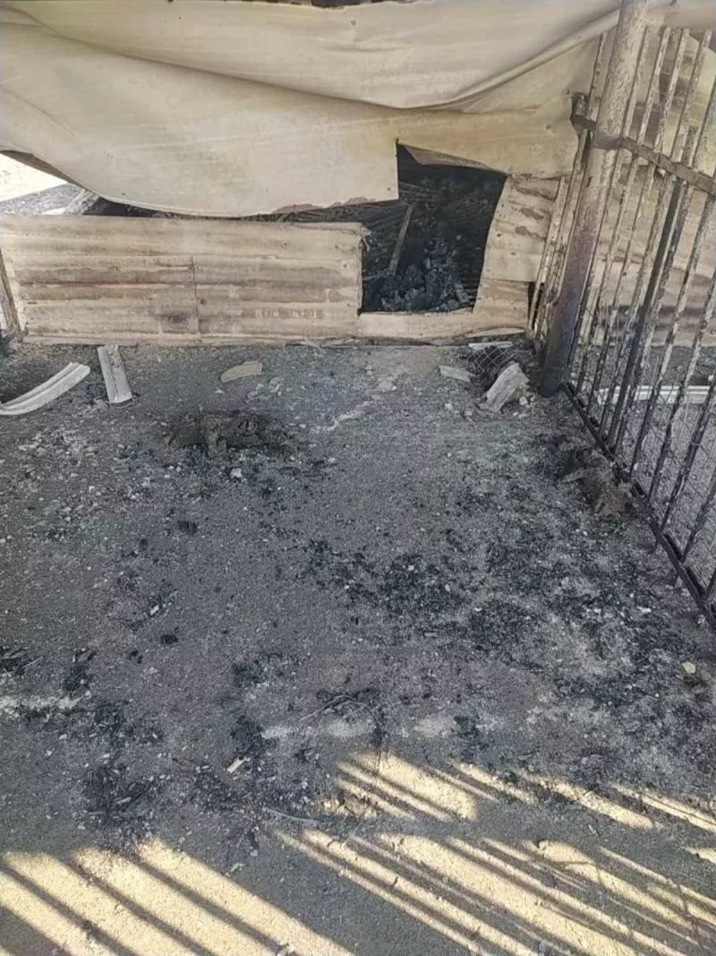 ζημιες