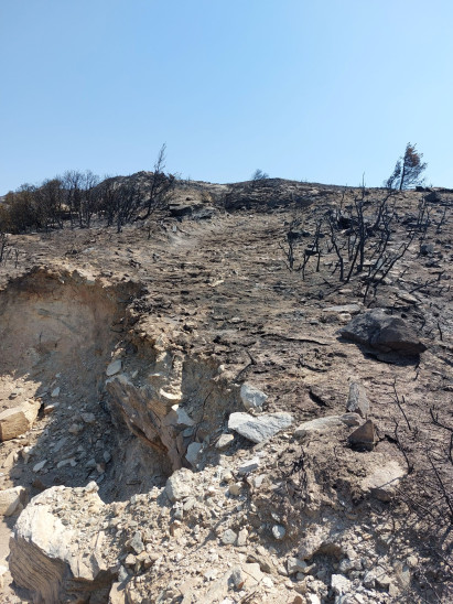 Από το νότιο τμήμα της οδού Λιθαγωγίας με εμφανή αποτυπώματα της πυρκαγιάς