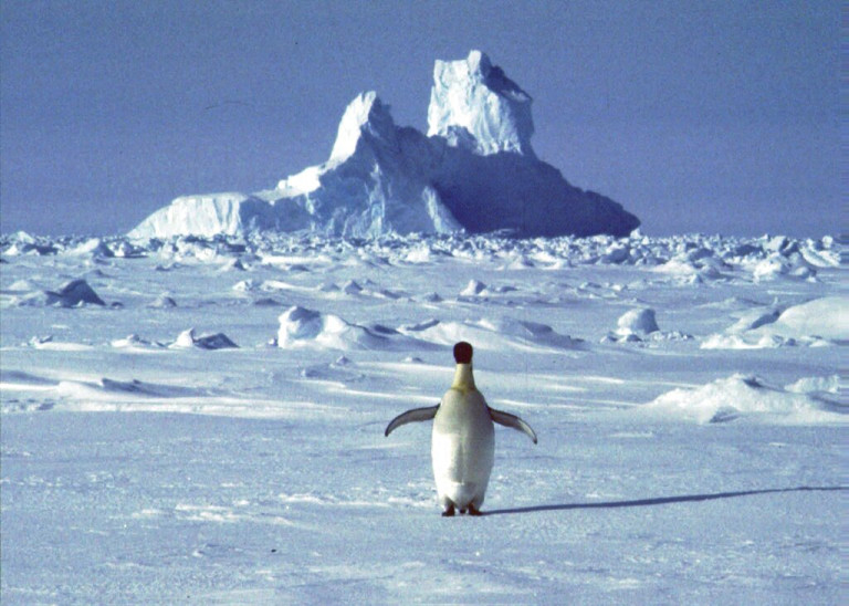 Ανταρκτική-λιώσιμο πάγων