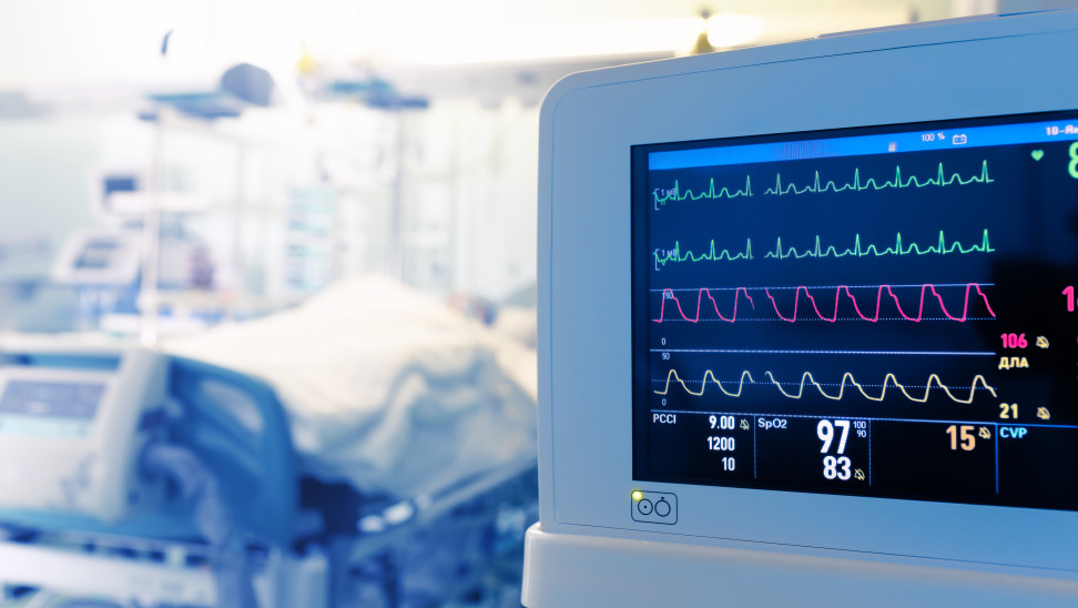 Λαμία: Στη ΜΕΘ 30χρονος μετά από τσίμπημα αράχνης