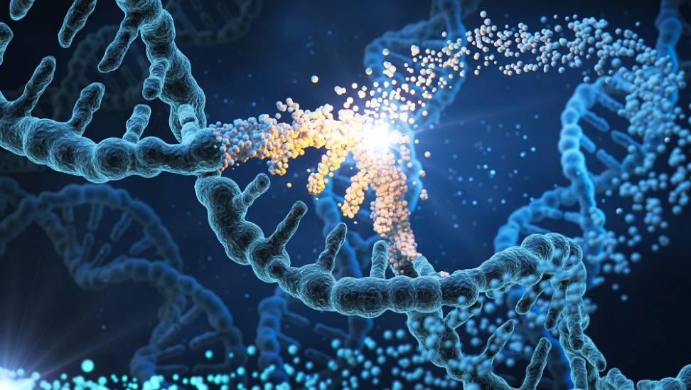 DNA: Επιστήμονες φωτογράφισαν για πρώτη φορά έναν μηχανισμό που είχε προβλεφθεί πριν από 20 χρόνια