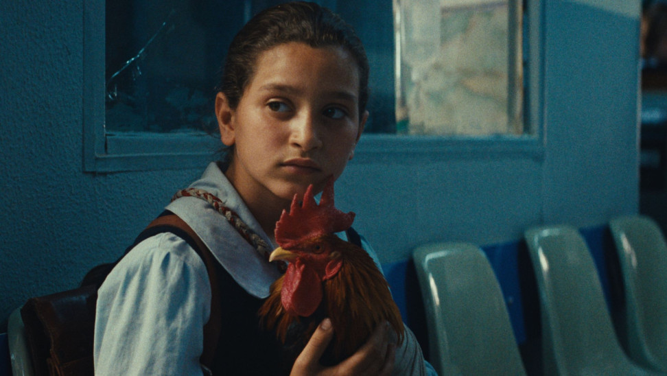 Νέες ταινίες: Μία τούρτα για τον Σαντάμ και μια «Νύφη» για τον Φρανκεστάιν (trailers)