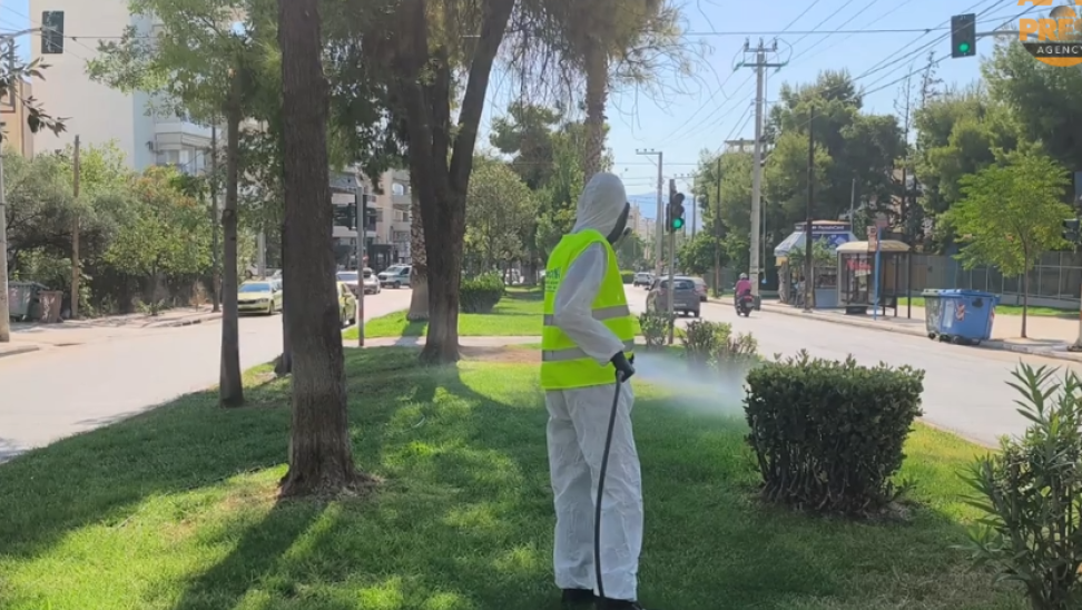 «Πόλεμος» με τα κουνούπια: Ψεκασμοί στην Αττική για τον ιό του Δυτικού Νείλου - Δείτε βίντεο