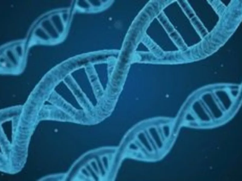 Το αρχαίο DNA «μίλησε»: Οι νέες μελέτες για την ιστορία Ελλάδας, Νότιας Ευρώπης και Ανατολίας