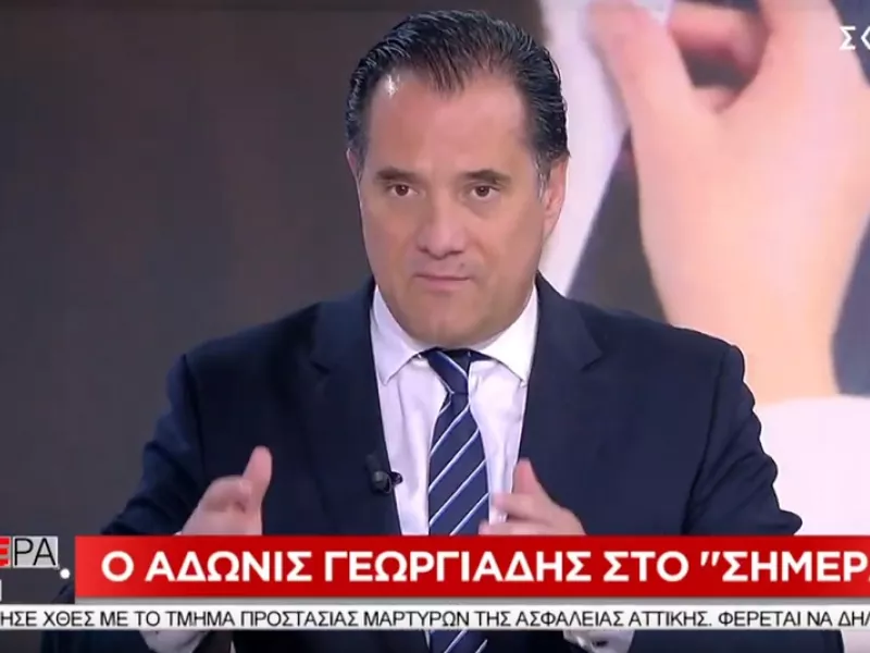 Γεωργιάδης για βίαιη προσαγωγή: Να κάνει τη δουλειά της η αστυνομία