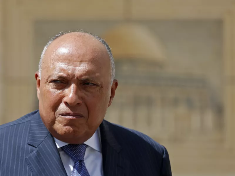 Συνάντηση του Αιγύπτιου ΥΠΕΞ με τον Σαουδάραβα ομόλογό του στο Κάιρο 