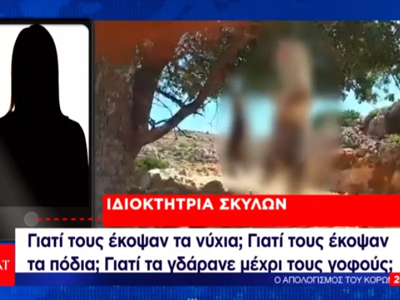  Οι φρικτές κακοποιήσεις ζώων και η δικαίωση που δεν έρχεται 