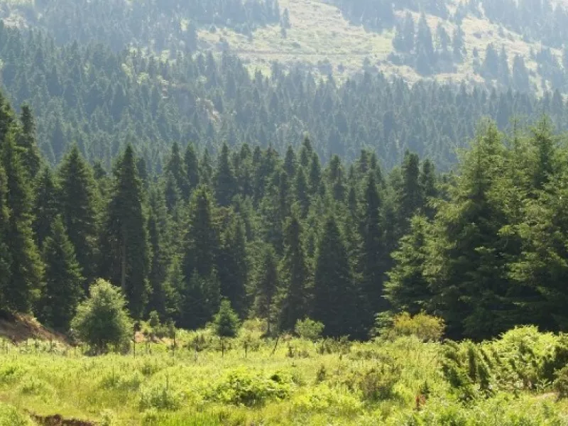 Στην Ελλάδα το βραβείο Natura 2000 για την προστασία χερσαίων εκτάσεων