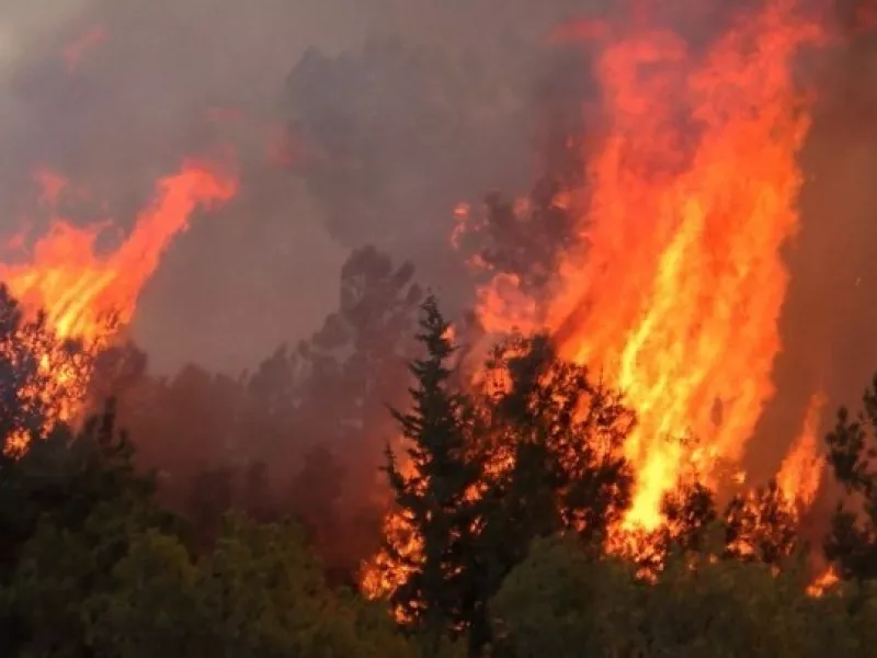 Σε ποιες περιοχές υπάρχει υψηλός κίνδυνος πυρκαγιάς (κατηγορία κινδύνου 4) την Κυριακή (pic) 