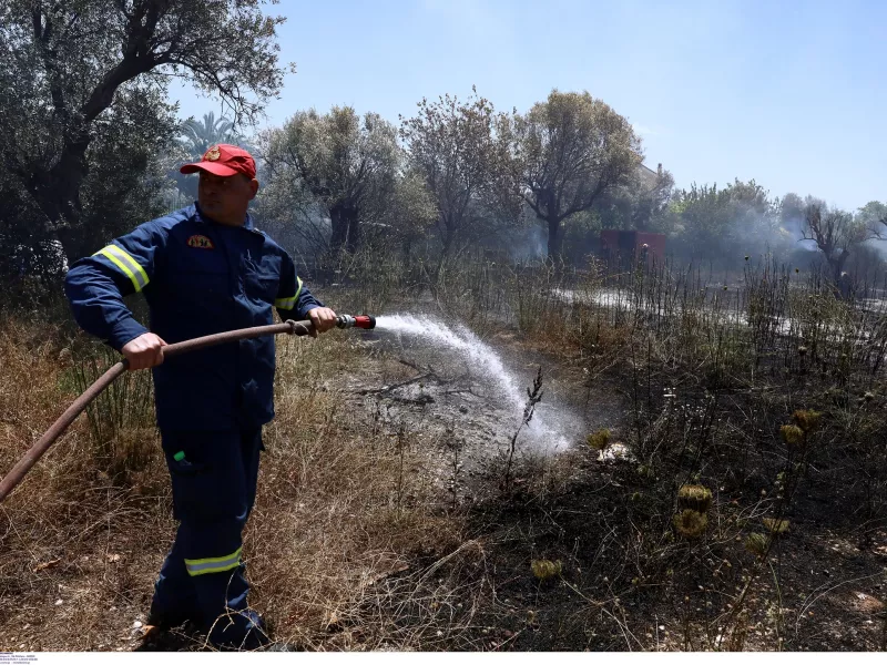Φωτιές σε Βαρνάβα και Ελευσίνα - Ισχυρές δυνάμεις - Πού υπάρχει διακοπή κυκλοφορίας