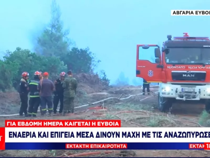 Εύβοια: «Βαλκανική συμμαχία» στις φλόγες –Σέρβοι, Ρουμάνοι, Έλληνες μαζί – Ο φόβος των πυροσβεστών 