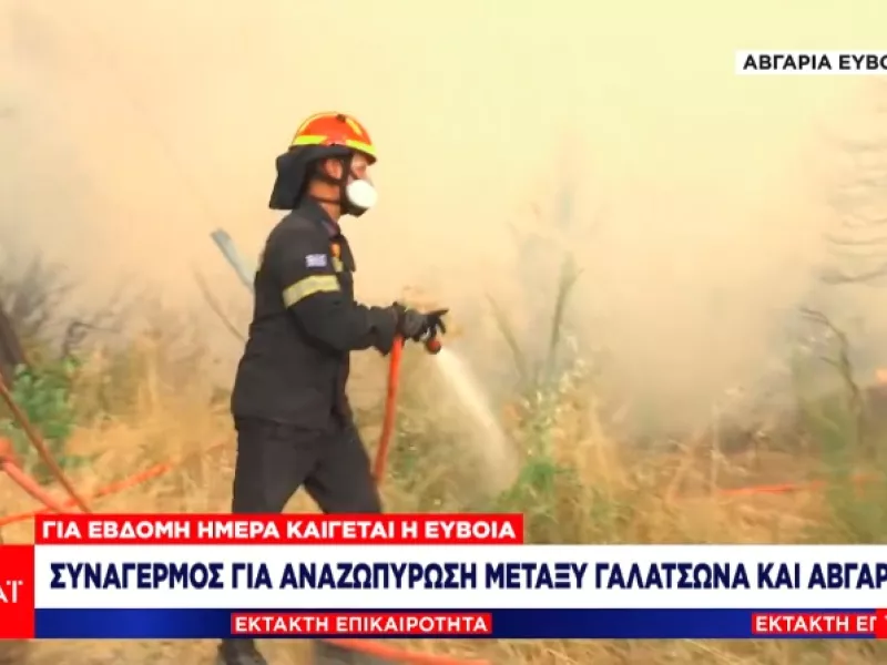 Εύβοια-Πυρκαγιές: Αναζωπύρωση μεταξύ των οικισμών Γαλατσώνα και Αβγαριά