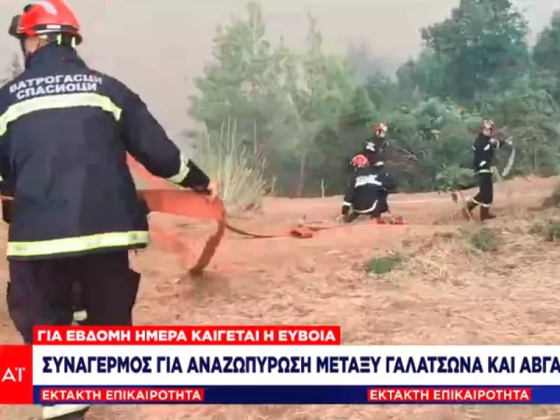 Εύβοια: Aναζωπύρωση μεταξύ Γαλατσώνας- Αβγαριάς: Σε αντίθετη φορά από την γραμμή πυρόσβεσης η φωτιά