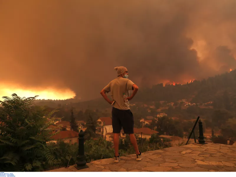 Τα δάση και τα μάτια μας