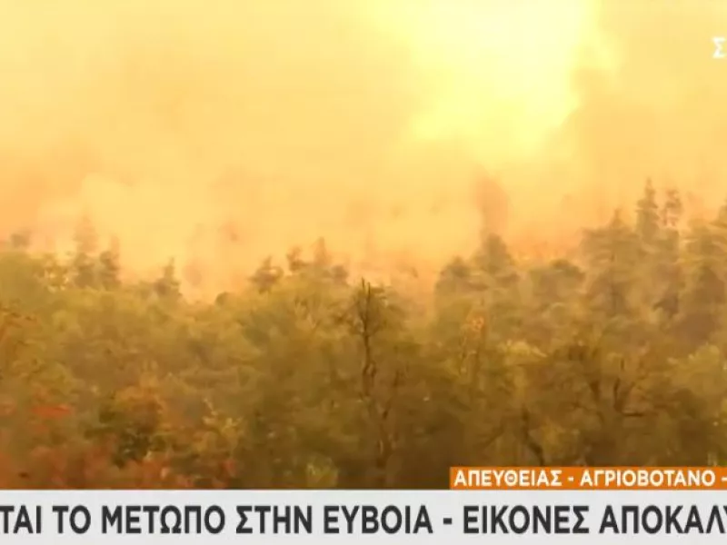 Κρίσιμες ώρες με την φωτιά στη Εύβοια: Δύσκολη κατάσταση στο Βόρειο μέτωπο -Απειλεί χωριά
