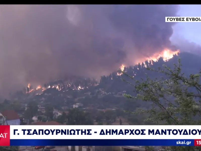 Δήμαρχος Μαντουδίου-ΣΚΑΪ: Ολοκαύτωμα στην Βόρεια Εύβοια, κινδυνεύουν και τα Ήλια