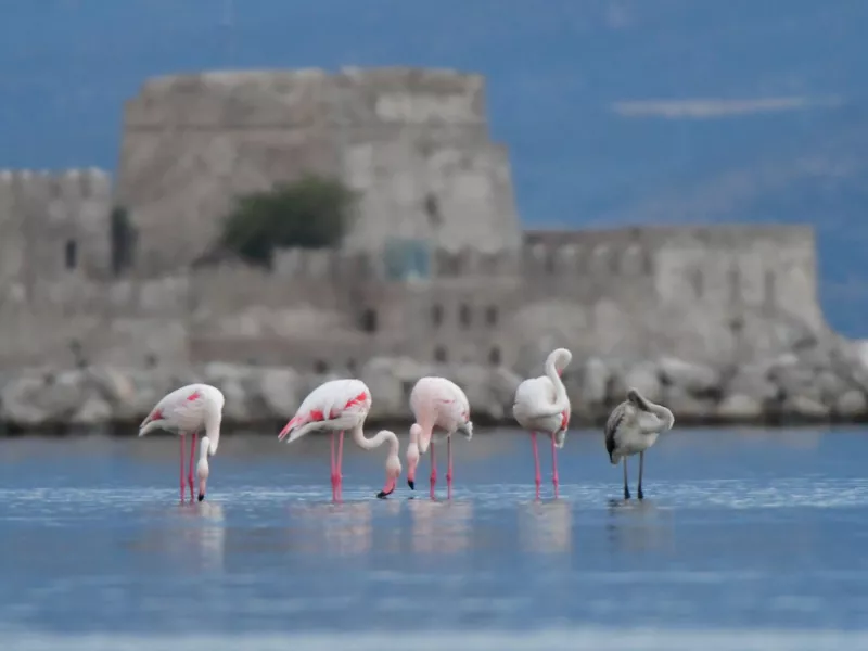 Αίθριος σήμερα ο καιρός και άνοδος της θερμοκρασίας – Η πρόγνωση για το Σαββατοκύριακο