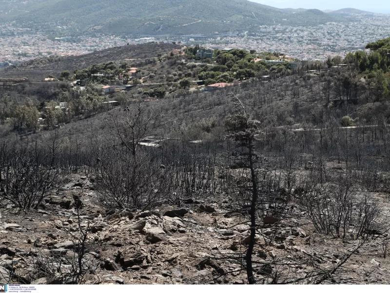 Φωτιά στην Πεντέλη: Πάνω από 20.350 στρέμματα κάηκαν- Δορυφορική εικόνα