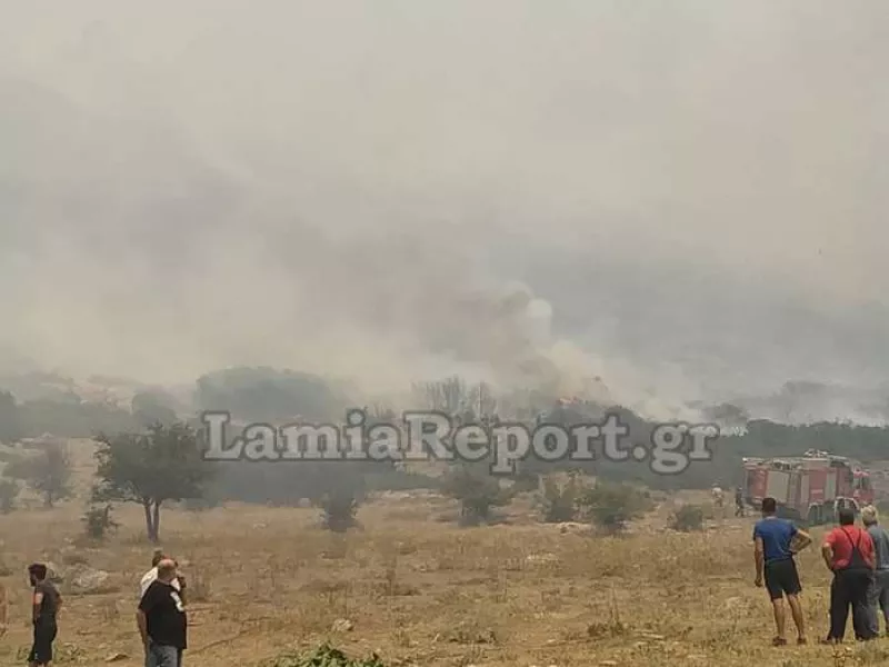 Φωτιά σε Ελάτεια - Βασιλικά Φθιώτιδας: Επιχειρούν 7 αερoσκάφη κι 1 ελικόπτερο