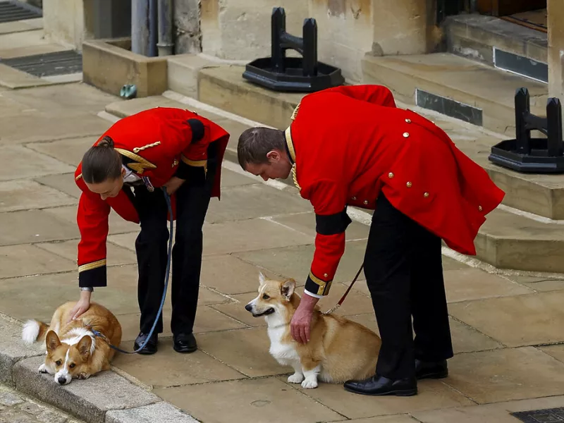 Κηδεία Βασίλισσας Ελισάβετ: Tα Corgis την περίμεναν έξω από το Winsdor
