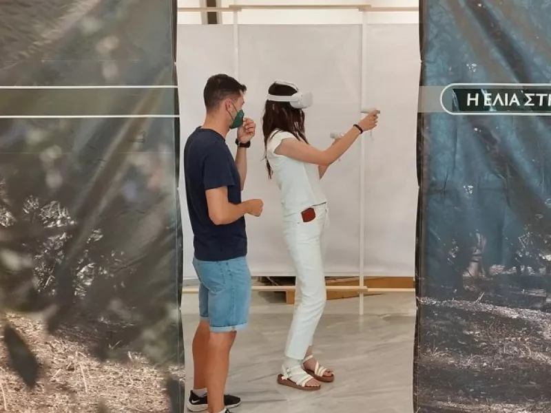 Ελιά στη Λέσβο