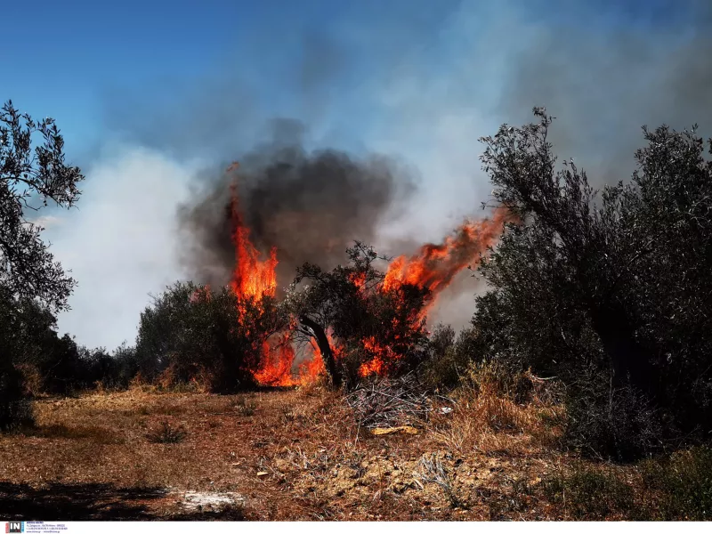  Άνω Γλυφάδα: 2 ύποπτοι για τη φωτιά- Δεν υπάρχουν συλλήψεις