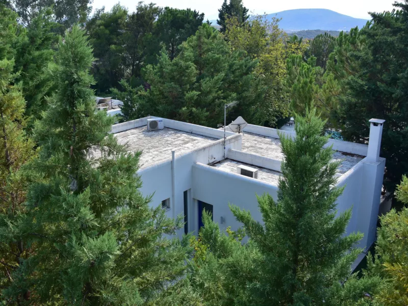 οικοπεδο κοντά σε δασική περιοχή