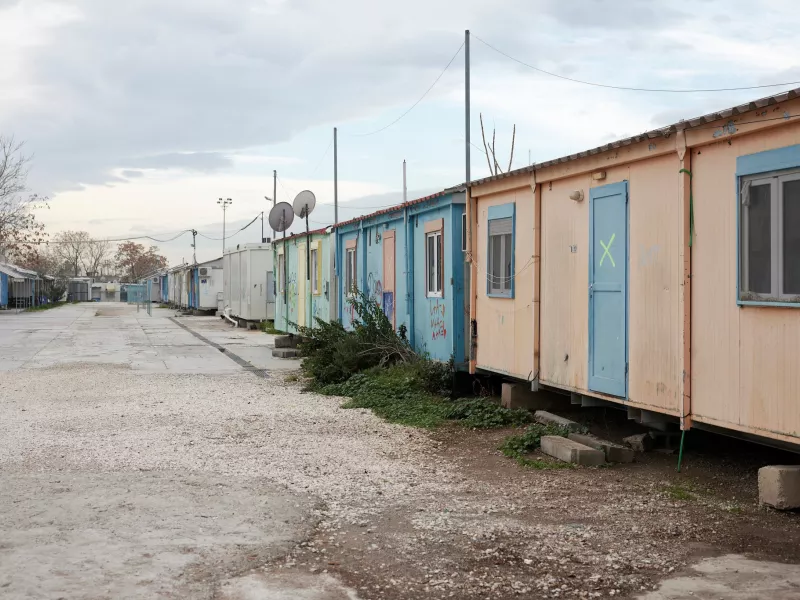 Δομή Ελαιώνα 