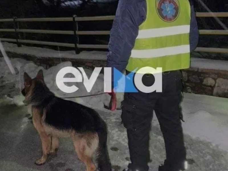 Κακοκαιρία Μπάρμπαρα: Ηλικιωμένος στην Εύβοια αγνοείται στα χιόνια