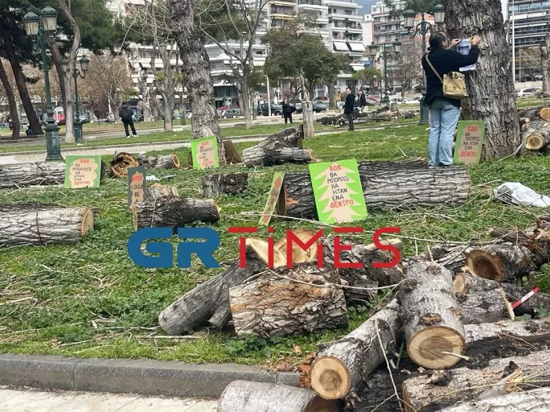 Διαμαρτυρία κατά της κοπής δέντρων στη Θεσσαλονίκη