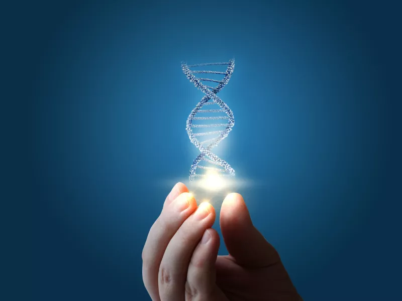 DNA