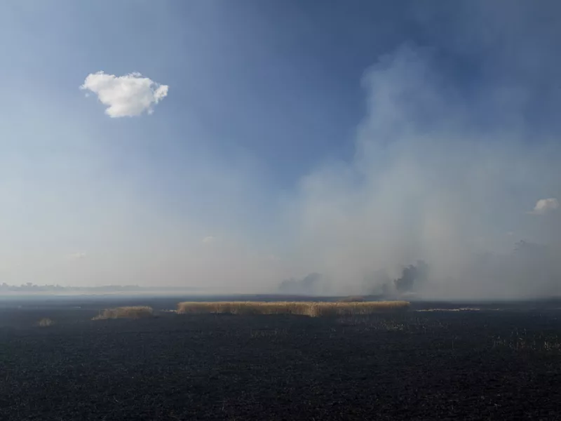 Mykolaiv