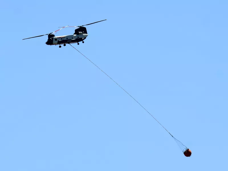 Chinook