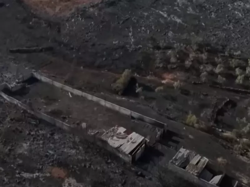 Βίντεο